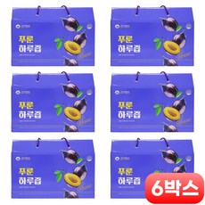 프룐스튁 푸룬스틱 먹는법 임산부 푸룬 주스 푸른쥬스 푸룬쥬스 푸룬스틱 푸룬즙 스틱 푸룬농축액 30대 40대 50대 여성 남성 중년, 2.1L