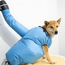 반려견 목욕 후 건조 전용 후드형 드라이 커버 강아지 물기 제거 케어 용품 애견, 1개, 소