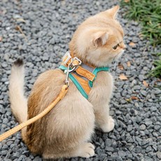 미우프 고양이 하네스 고양이전용 산책줄 야광 가슴줄, 오렌지 블루, 1개