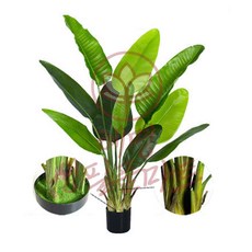 여인초 조화 120cm