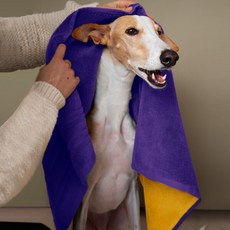 [페텐드] 펫 전용 초극세사 솜솜 타올 대형 L 2+1개 (총3개) / 대형견 강아지 고양이 애견 드라이 수건 (70x130cm), 3개, 상세 설명 참조, 상세 설명 참조