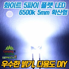5파이 플랫 확산형LED(화이트), 10개, 1개