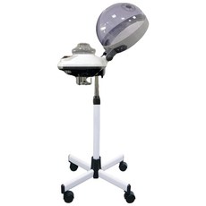 雅芳 變頻式護髮機 YH-706