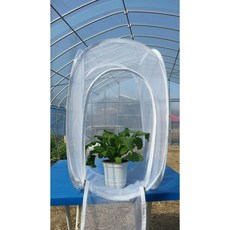 배추흰나비 키우기 세트 기르기 과학 키트 사육 다희네농장, 1개, 특대형