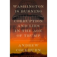 (영문도서)Washington Is Burning: Corruption and Lies in the Age of Trump Hardcover, Verso, English, 9781836741770