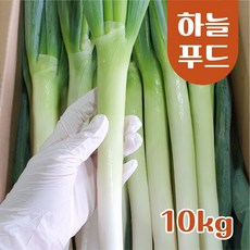 하늘푸드 (10kg) 수입 대파 깐대파 손질대파 식자재[원산지:중국], 1. (10kg/Box) 상품 신선대파, 1개