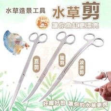 水草剪刀 直剪 彎剪 波浪剪, 1個, 水草剪刀_彎剪