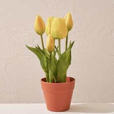 [모던하우스] 리얼터치 미니 튤립화분 x5 24cm 옐로우