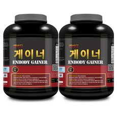 엔바디 게이너 벌크업 단백질보충제 / 체중증가 헬스 프로틴, 4kg, 2개
