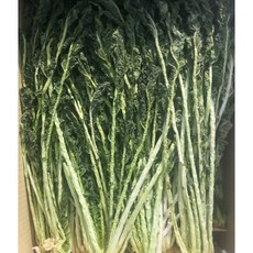 양구 2026년 햇 건시래기 1kg/햇시래기 /양구햇시래기 /양구펀치볼햇오리지날시래기 1박스