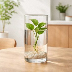 거실 식탁 테이블 유리화병 인테리어 생화 카페 꽃병 12x25cm
