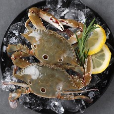 꽃게 암게 삼점게 3kg, 1개