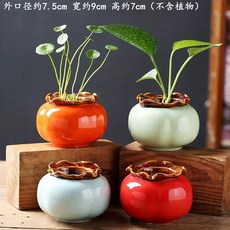 수반 도자기 미니 마당 항아리 옹기 연꽃 어항 정원 화분, AH. JC 수경과일 4개 세트