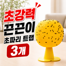 하루달마켓 초파리 트랩 끈끈이 날파리, 3개, 1개입