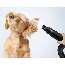 강아지드라이룸 건조기 펫 애견 드라이룸 드라이기, 1개, 상세페이지 참고, 맞춤형 분홍색 돼지