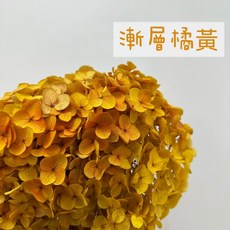 Be a florist 花藝夢 進口漸層色系安娜繡球花，單克販售永生乾燥花，浪漫花藝首選, 漸層橘黃