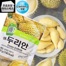 제이케이푸드 재호 두리안 500g 냉동과일 열대과일 디저트 베트남산, 1개