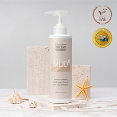 보령머드 트리트먼트, 1개, 500ml