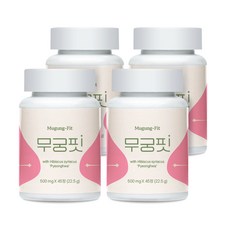 [본사출고] 무궁핏, 45정, 4개