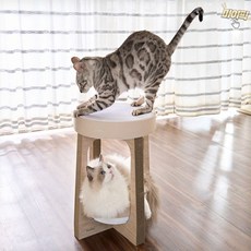 마이픽픽 고양이스크래쳐의자 고양이의자
