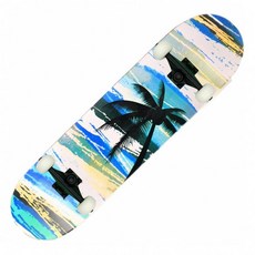 스케이트보드 입문용 성인 충전식 롱보드 크루져보드 크루저보드, 1개, 코코넛트리