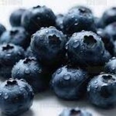 칠레산 프리미엄 생 블루베리 (14-16mm/팩당125g), 1개, 4팩