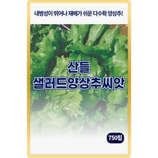 산들 샐러드 양상추씨앗 750립 내병성 뛰어난 다수확 조생종 양상추씨 종자, 1개