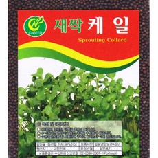 영농사 (새싹 케일 씨앗 30g) 케일씨, 4개