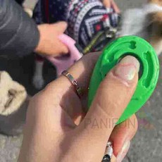 훈련용 강아지클리커 애견교육 반려견교육 강아지교육 애견훈련 반려견훈련 dhy*1758cU
