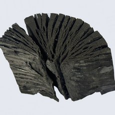 참숯 (국산 백탄)생활숯 정제 간장숯 밥 물정화 탈취 냄새제거, 1개, 단품