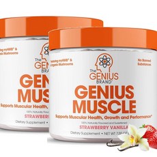 더 지니어스 머슬 빌더 매스 게이너 스트로베리 바닐라맛 The Genius Brand Muscle, 2개