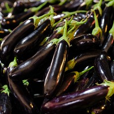 가지 국내산 특품 햇 가지 2kg 5kg, 국내산 가지 - (상품) 못난이 2kg