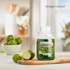 양키캔들 홈 인스퍼레이션 자캔들 L, 베리애플, 538g, 2개