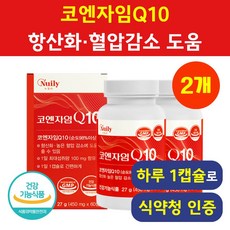 코엔자임Q10 식약청인증 헬시위듀 코큐텐 항산화영양제, 2개, 60정
