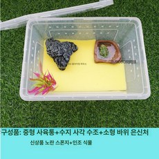 아크릴 사육장 양서류 사육 게코 팩맨 거북이 투명 용품 피그미다람쥐 오픈형 집 대형 세트, 1개, 중형개구리사육박스해면은신포함