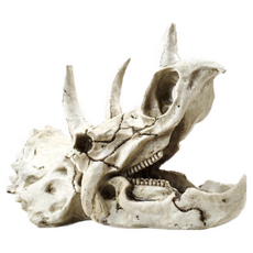 PJ小舖 爬蟲缸造景裝飾 恐龍化石造型 三角龍頭骨 爬寵躲藏 魚缸水族裝飾, 白, 1個