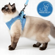 소풍일상 이탈방지 편안한 고양이 캣 하네스 목줄 리드줄 세트, 1개, 블루
