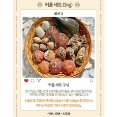 선주직송 제철모둠조개세트, 1박스, 커플세트 (2.5kg)