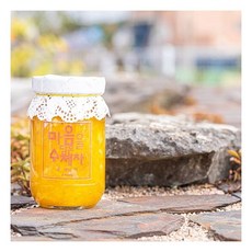 벌꿀 들어간 수제 유자청 500g 수제청 유자차, 1개