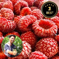 국내 자연산 제철 산딸기 열매 급냉 고당도 과즙 산지직송, 1개, 1kg