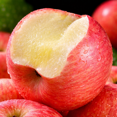 [하루70박스한정] 농장직송 초고당도선별 최대15BRIX 꿀사과, 1박스, 2.5kg