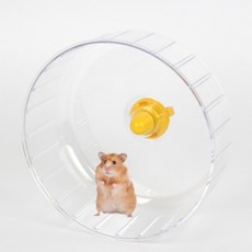 [SB수빈스토어] 햄스터 투명 쳇바퀴 햄스터놀이터 고슴도치장난감 고슴도치물품