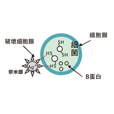 樂農農 奈米銀10000ppm消毒液，非農藥水產畜牧有機栽培器具專用，高效淨化水質，保障食品安全, 奈米銀 10000ppm 250cc, 奈米銀 10000ppm