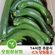 < 오일장상회 > 국내산 쥬키니호박 주키니호박 못난이호박 상등급 3kg 5kg 10kg내외, 1개, 상품3kg내외