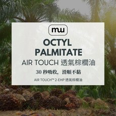 MW AIR TOUCH 透氣棕櫚油 MIT全製程 ISO22716 GMP工廠製造 RSPO永續 美容師專用, 1個, 250ml(隨貨附壓頭)