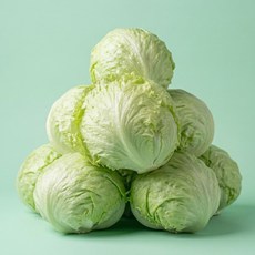 [가든엔] 아삭한 국산 양상추 특품 선별 샐러드 샌드위치, 400g, 1개