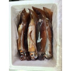 [초특가] 국내산 오징어 포항 빙장오징어 (13미 내외) 산지직송 급냉, 1개, 1kg