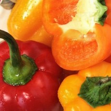 파프리카 사무실간식 영양보충용 쫄깃한맛 입맛돋우는 맛있는파프리카, 1개, 1g