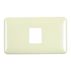 豪華歐風 1孔 卡式開關蓋板 插座蓋板【6350B】, 1個