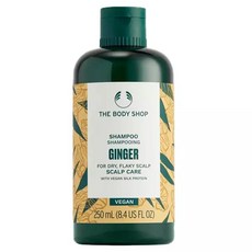 더바디샵 진저 스캘프 케어 샴푸, 1개, 250ml